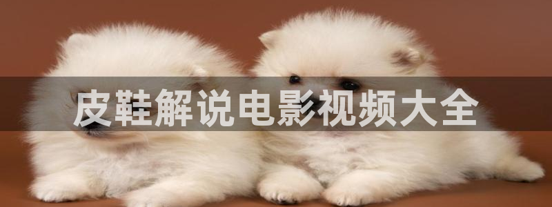 星辰影院高清免费观看电视剧大全：皮鞋解说电影视频大全