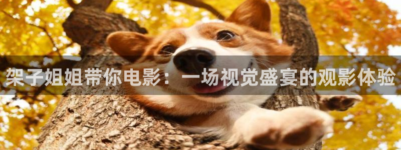 星辰电影网影院免费观看电视剧电影